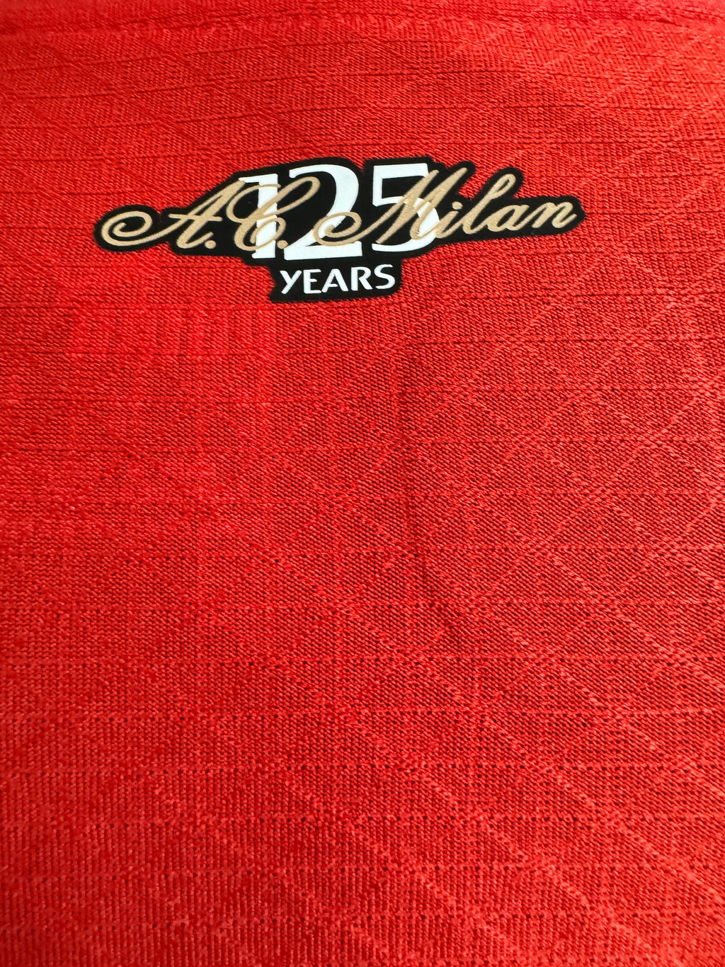 CAMISETA VERSION PLAYER AC MILAN 24/25